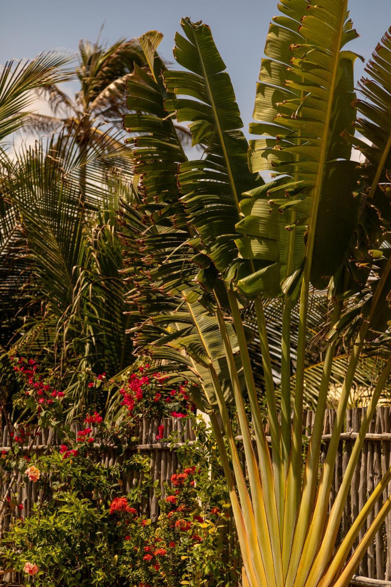 Continentes Brasil & Maison De Reve Sur La Villa Guajiru (Trairi)
